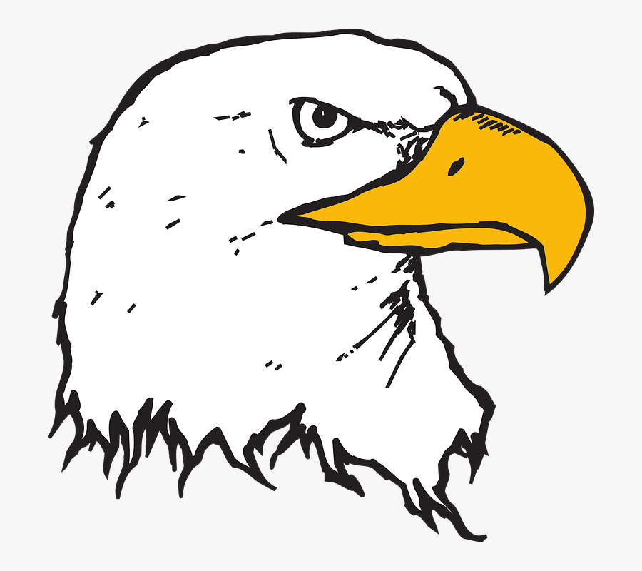 Eagle Head Clipart, Transparent Clipart
