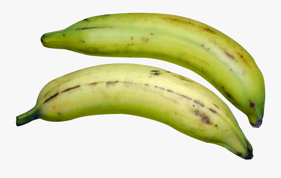 Banana Png Image - Plantain Png, Transparent Clipart