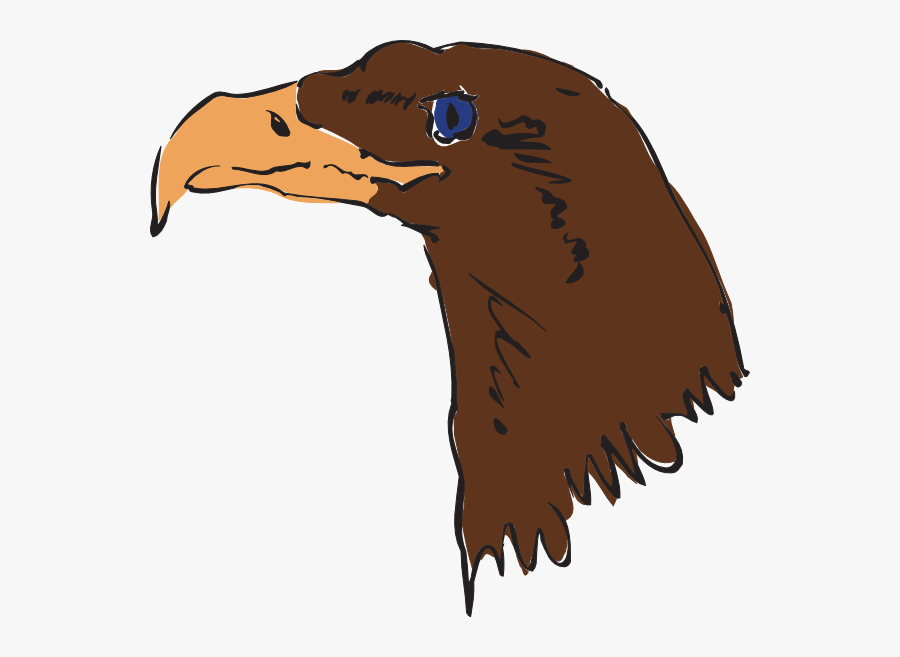 Brown Eagle Head Art Svg Clip Arts - Gambar Wajah Burung Gagak Kartun, Transparent Clipart