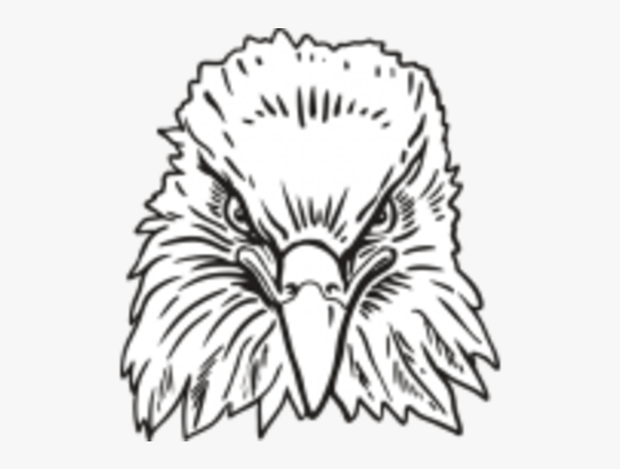 Transparent Eagle Head Clipart Black And White - Eagle Head Front View, Transparent Clipart