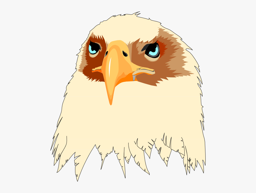 Bald Eagle With Glasses, Transparent Clipart
