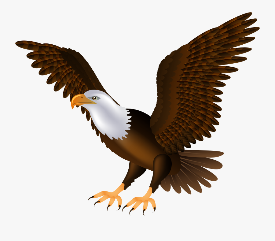 Eagle Clip Art Clipart Collection Transparent Png, Transparent Clipart