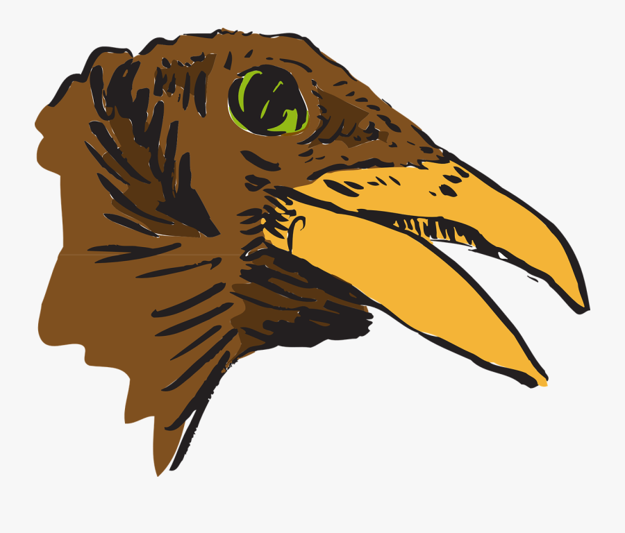 Head Clipart Bird - Beak Of Bird Clipart, Transparent Clipart