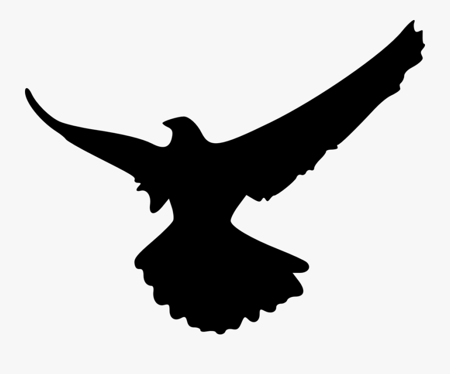 Transparent Eagle Head Clipart Black And White - Shadow Of An Eagle, Transparent Clipart