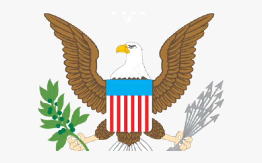 American Bald Eagle Png, Transparent Clipart