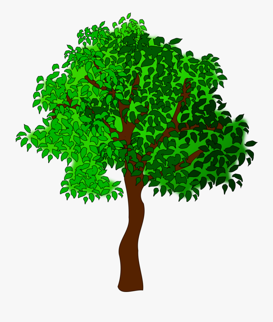 Tree Clipart Trees Vector Clip Art Tree Photo Graphics - Seasons Affect Living Things, Transparent Clipart
