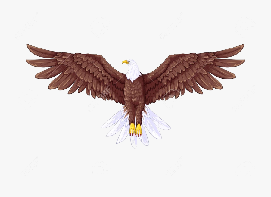 Eagle Royalty Free Rf Clipart Illustration By Chromaco - Drawing Full Body Eagle, Transparent Clipart