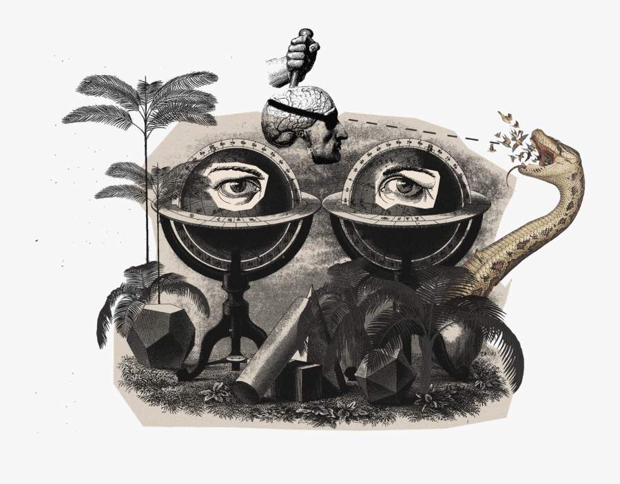 Quiz - Illustration, Transparent Clipart