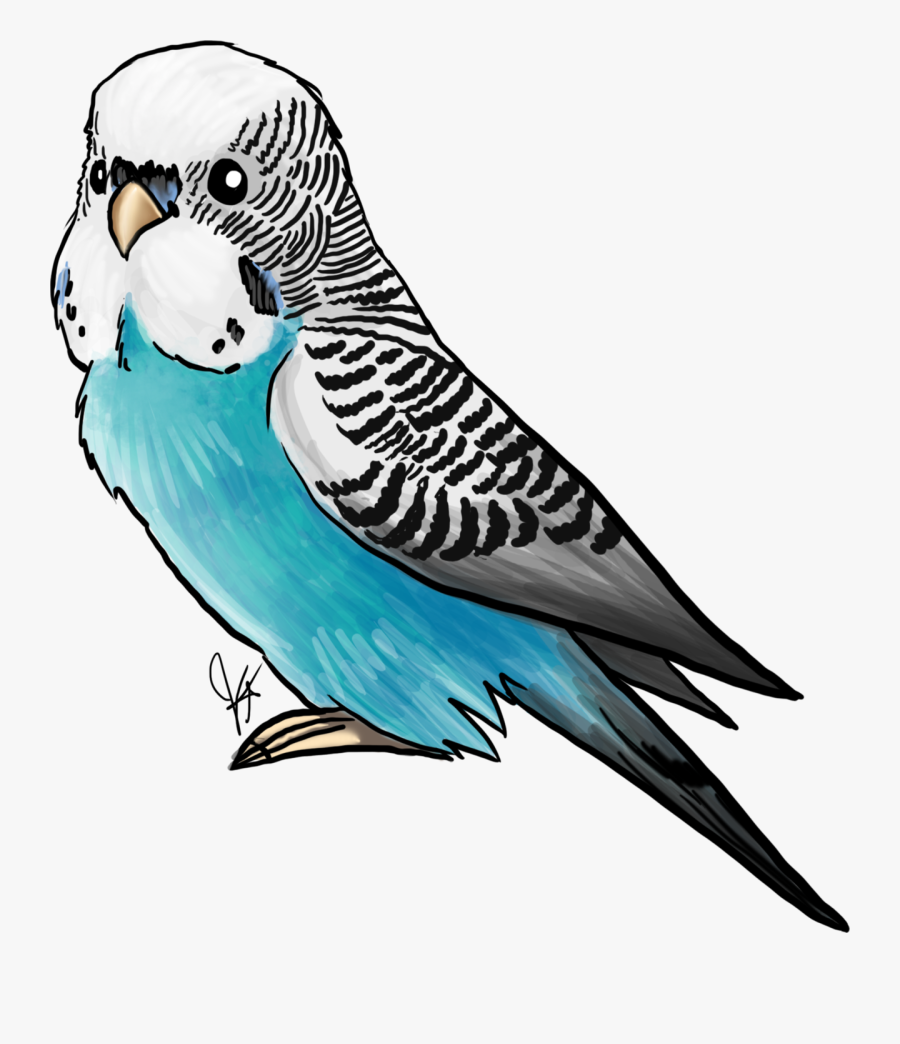 Parakeet 
parakeets Are Sweet Little Birds Native To - Budgie, Transparent Clipart