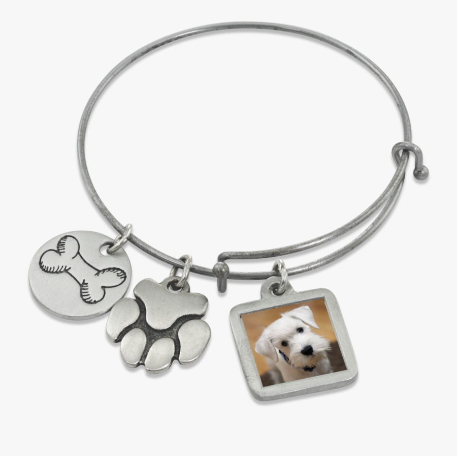 "bone & Paw - Great Pyrenees, Transparent Clipart