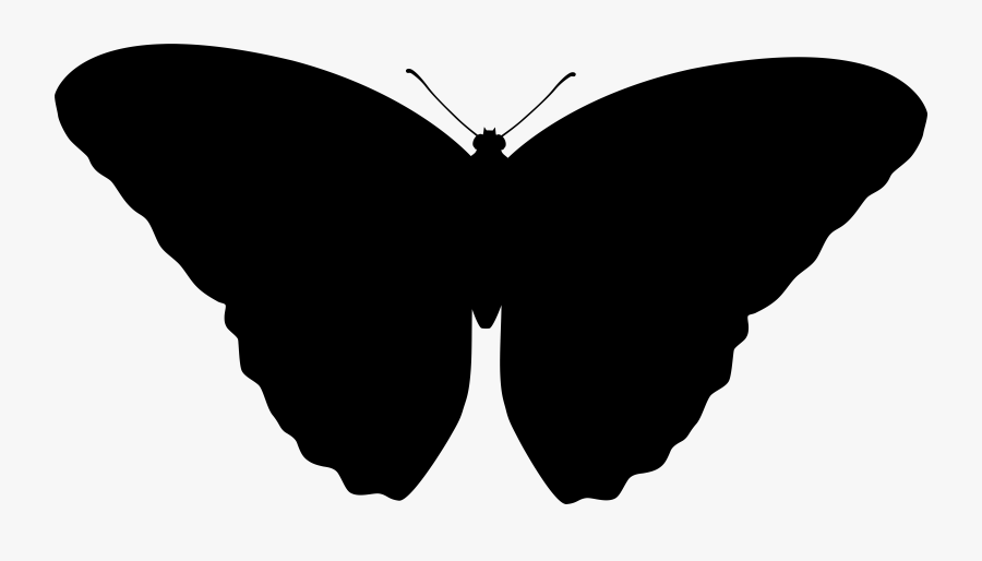 Brush-footed Butterflies Font Silhouette M - Moth Silhouette Transparent, Transparent Clipart