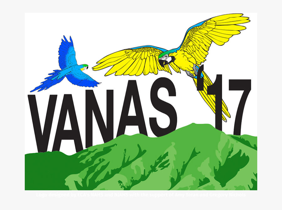 Confederation Of Indigenous Peoples Of Bolivia, Transparent Clipart