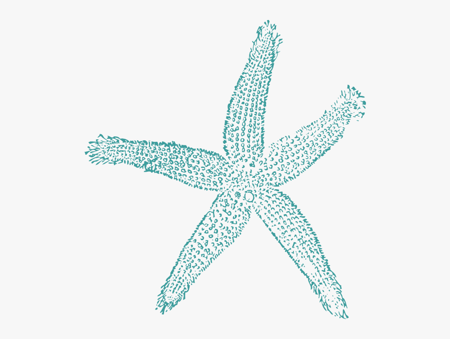 Teal Starfish Png, Transparent Clipart