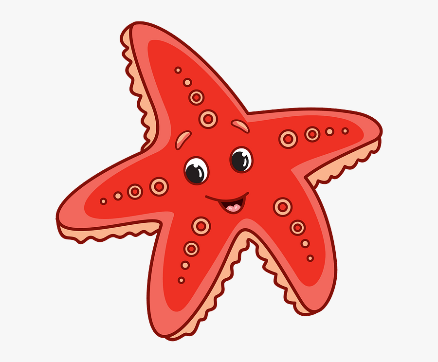 Starfish Clipart, Transparent Clipart