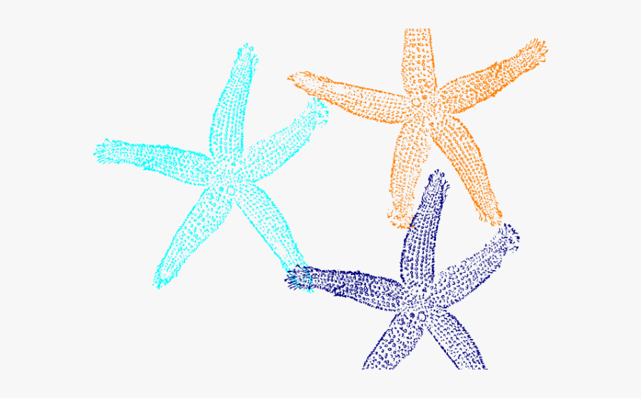 Starfish Clipart Vector - Turquoise Starfish Clipart, Transparent Clipart