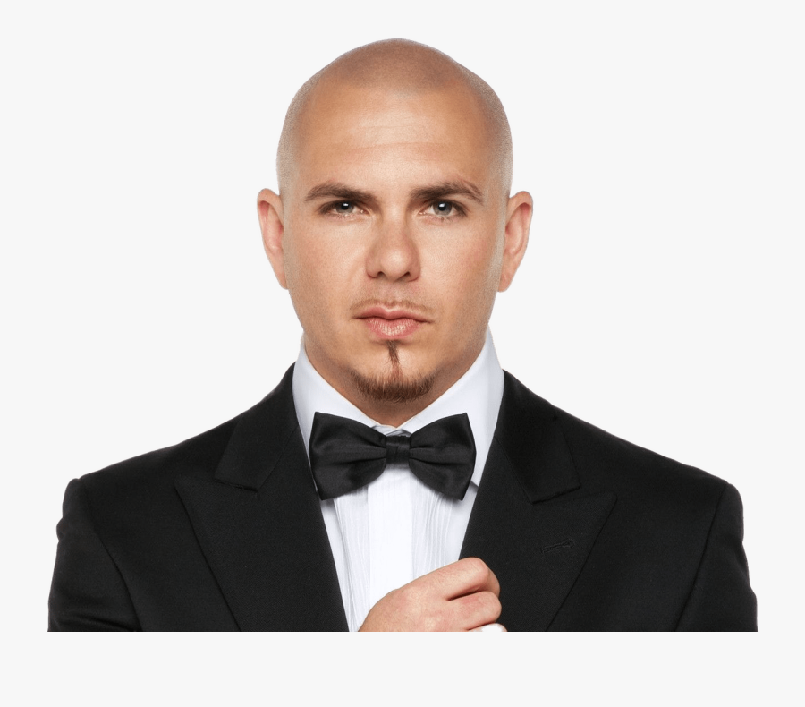 Pitbull With Bow Tie - Pitbull Singer, Transparent Clipart