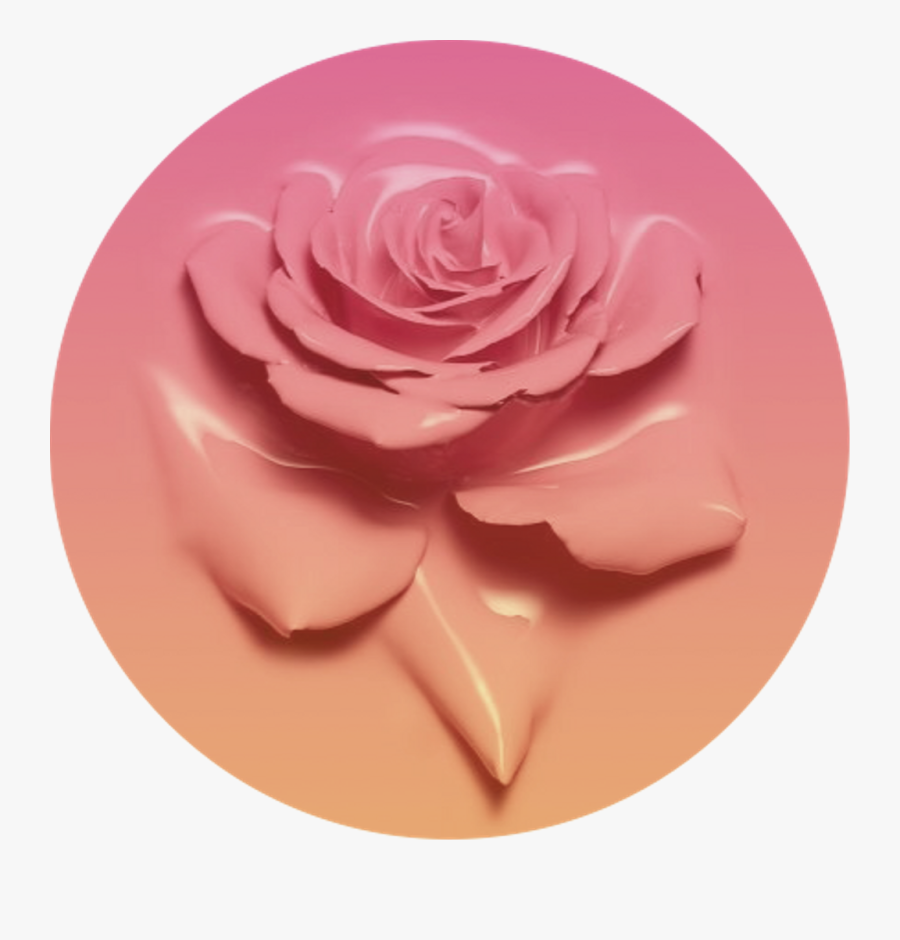 Icon Pink Fade Gradient - Flower With Circle Icon, Transparent Clipart