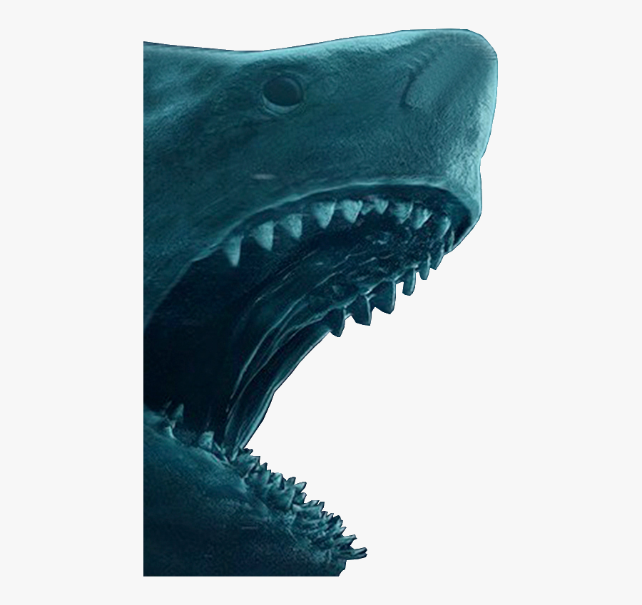 The Meg Megalodon Png By Pedroaugusto14 - Mantis Stalks The Cicada Unaware, Transparent Clipart
