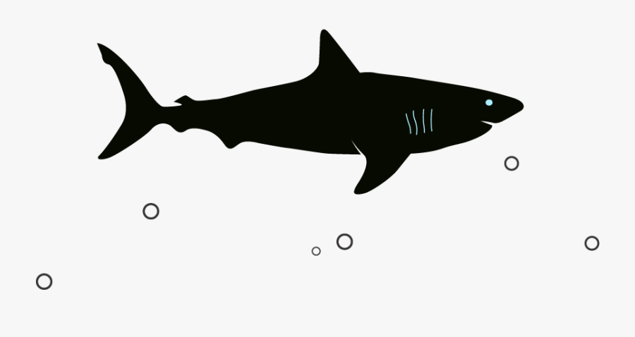 Megalodon Png Picture - Mega Shark Vs Giant Octopus, Transparent Clipart