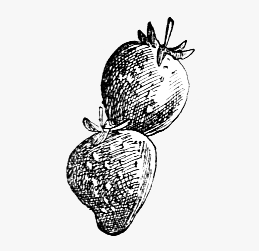 Public Domain Clipart - Illustration, Transparent Clipart