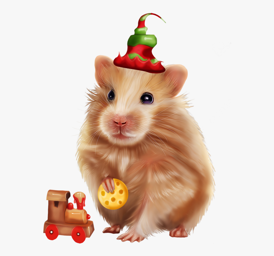 Mouse, Transparent Clipart