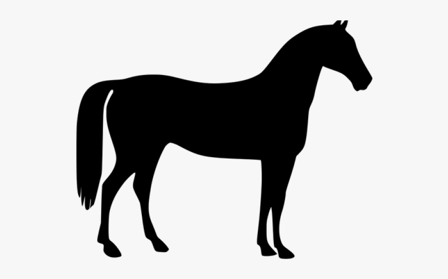 Rider Clipart Clip Art Horse - Horse Vector, Transparent Clipart