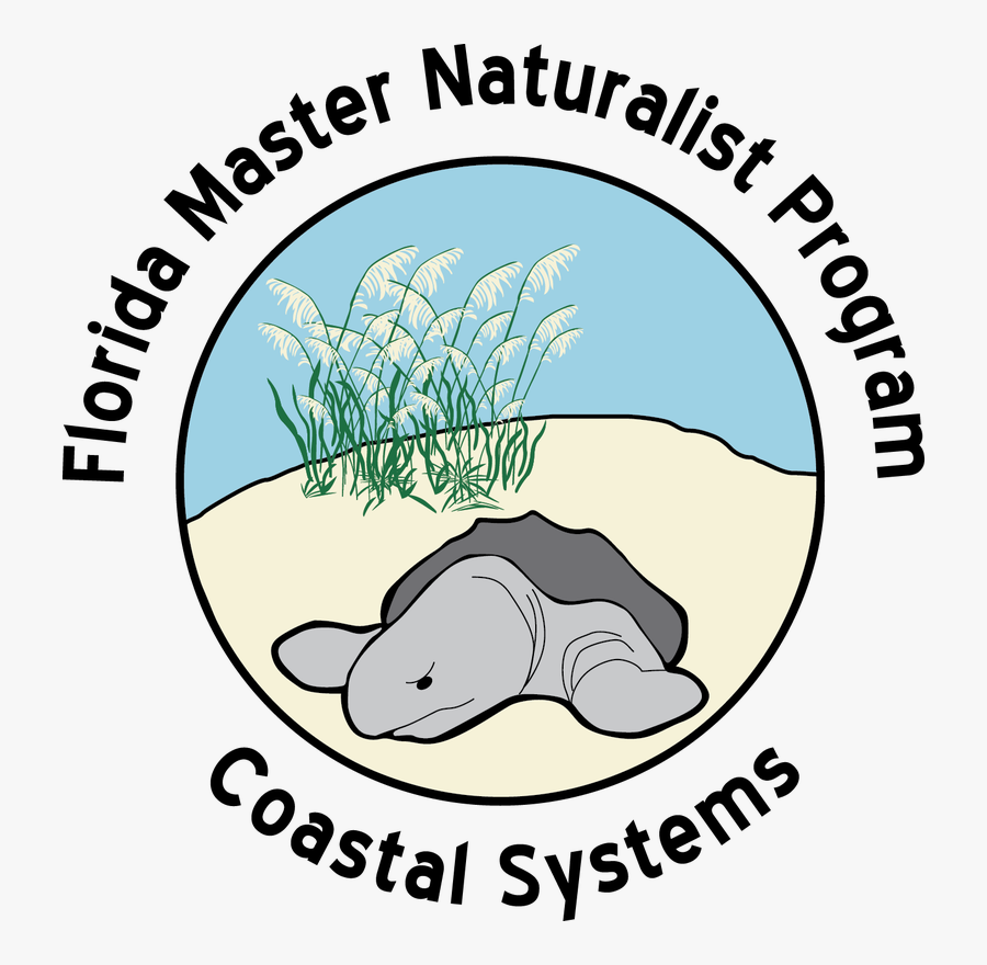 Florida Master Naturalist Clipart , Png Download - Florida Master Naturalist, Transparent Clipart