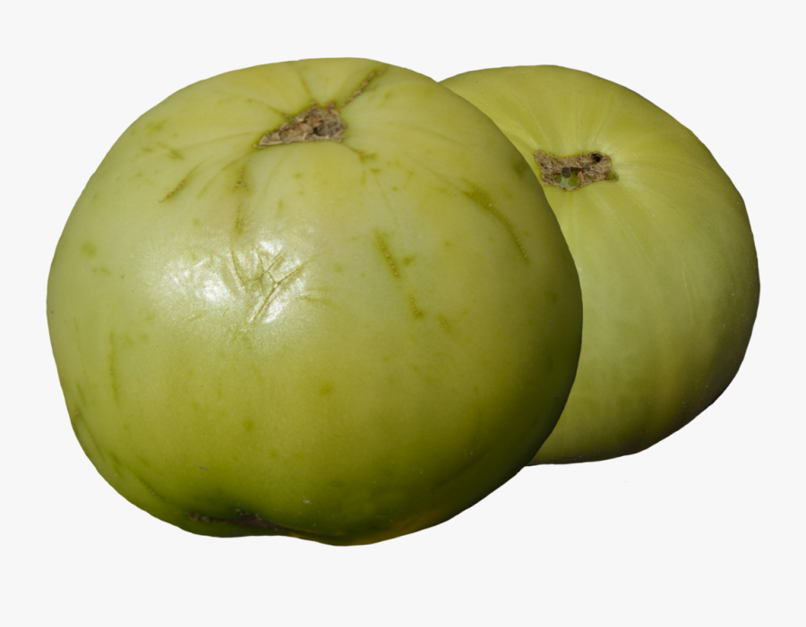Clipart Two Green Tomatoes - Tomato, Transparent Clipart