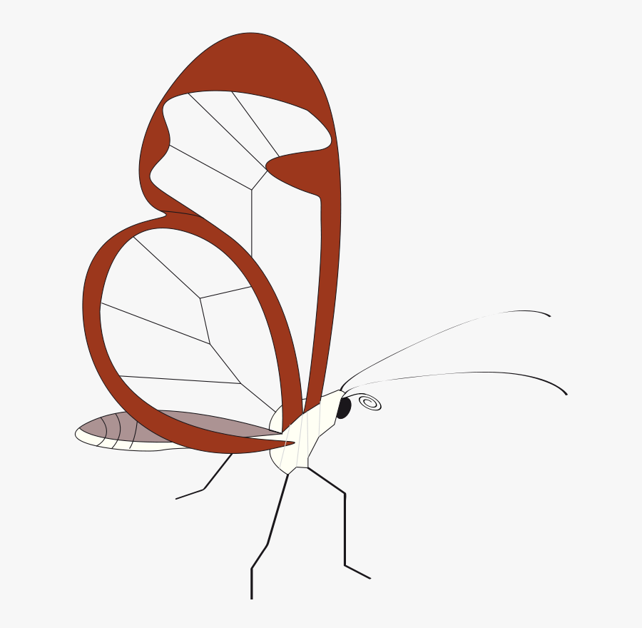 Butterfly Papillon - Clip Art, Transparent Clipart