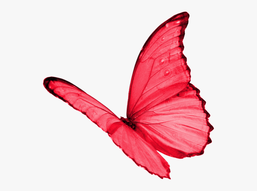 Papillon Clipart Red Butterfly - Transparent Background Yellow Butterfly Png, Transparent Clipart