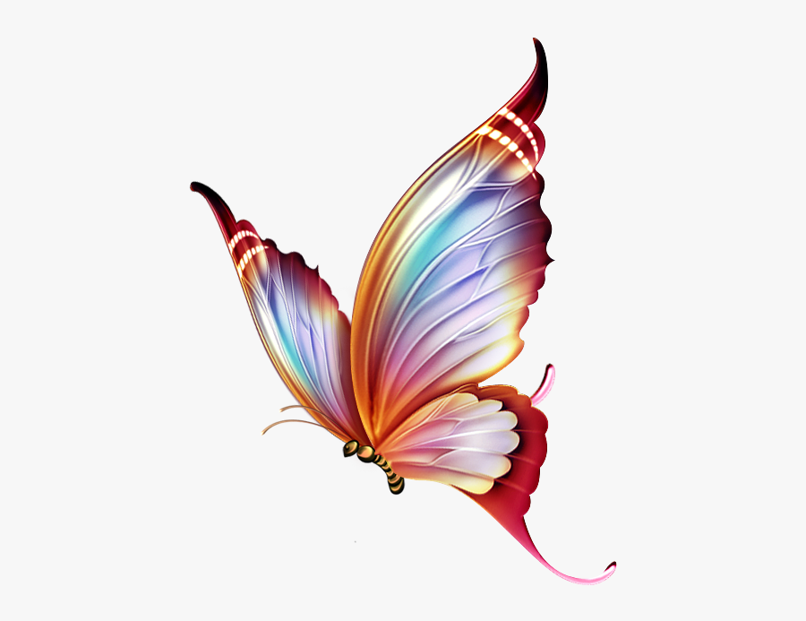 Papillons Png Butterfly Tubes - Butterfly Colour Pencil Drawings, Transparent Clipart
