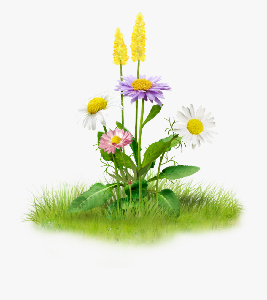 Nature Clip Art - Nature Png, Transparent Clipart