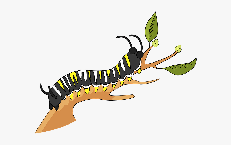 Caterpillar, Transparent Clipart