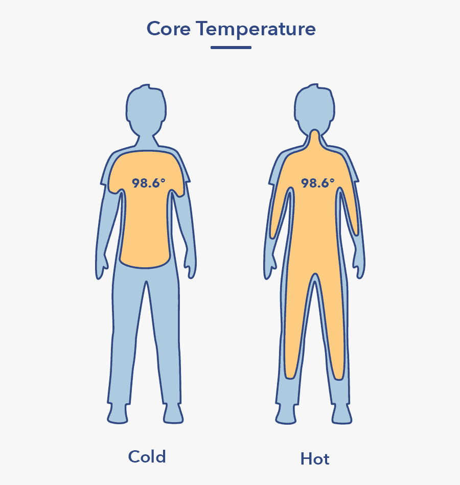 Sleep And The Body Article Graphic, Transparent Clipart