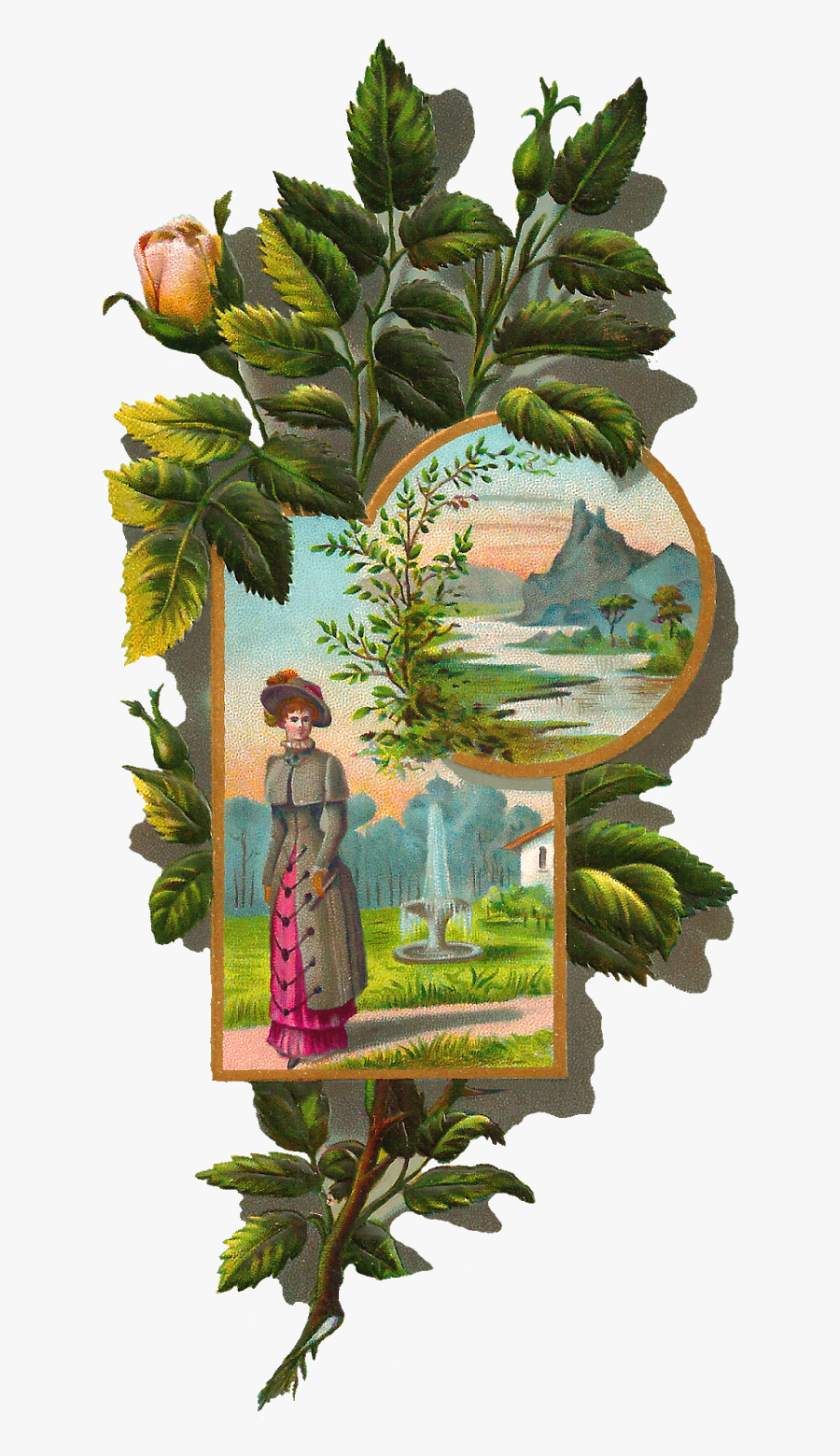 Rose Clip Art Frame - Frame Rose Antiqueimages Blogspot, Transparent Clipart