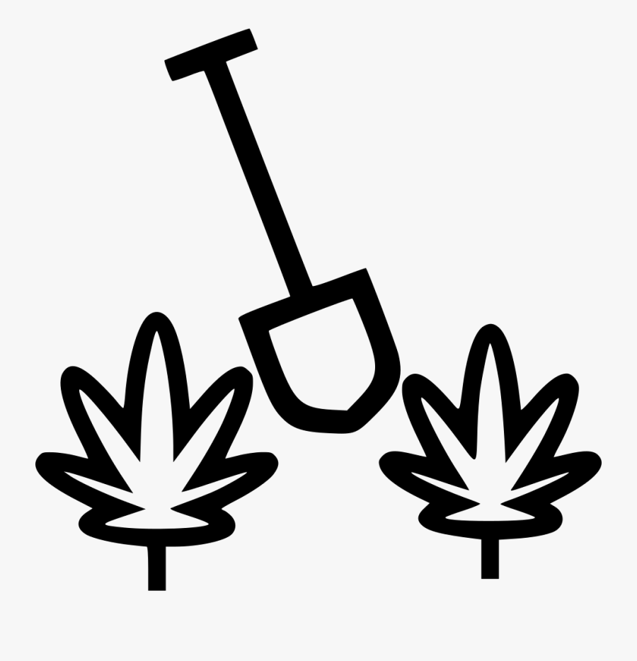 Plantation, Transparent Clipart