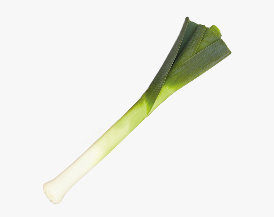 Transparent Leek Png - Leek .png, Transparent Clipart