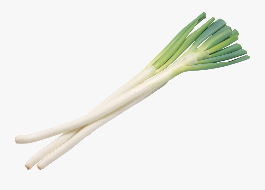 Leek Png - Leek, Transparent Clipart