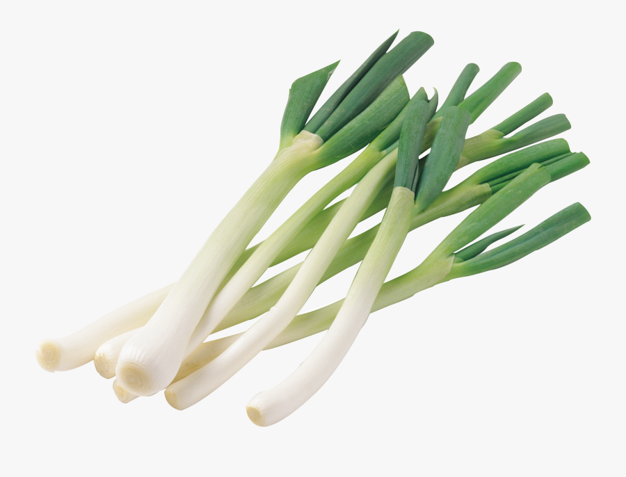 Leek Png, Transparent Clipart