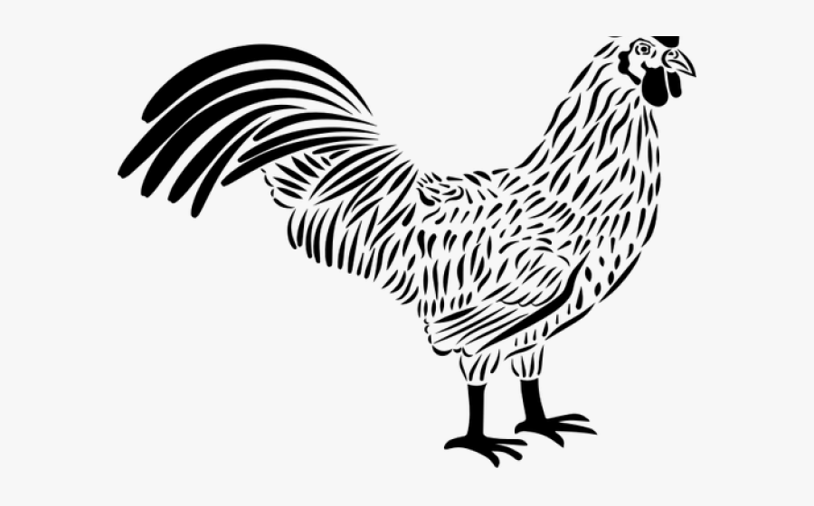 Rooster Clipart Vector Black - Chicken Clipart Black & White Hd, Transparent Clipart