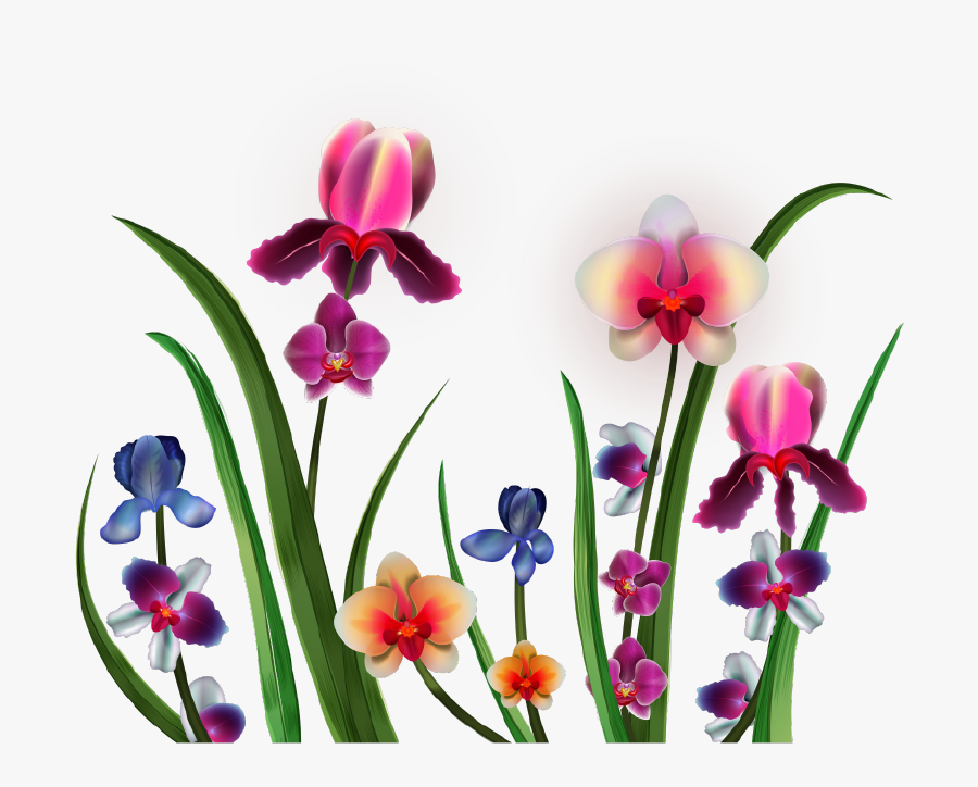 Png Vector Delicate - Orchids, Transparent Clipart