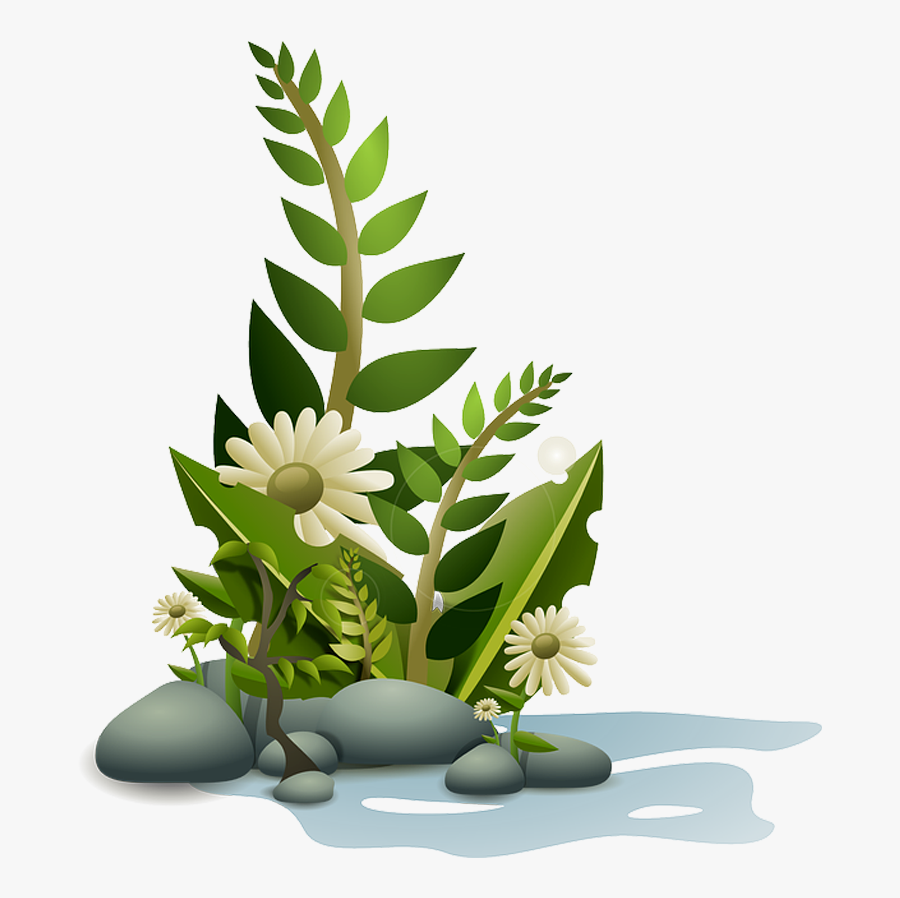 Aquatic Plants Clip Art - Png Format Green Flowers Png, Transparent Clipart