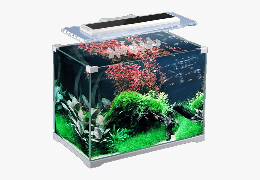 Aquarium Png - Аквариум 22 Литра Sunsun, Transparent Clipart