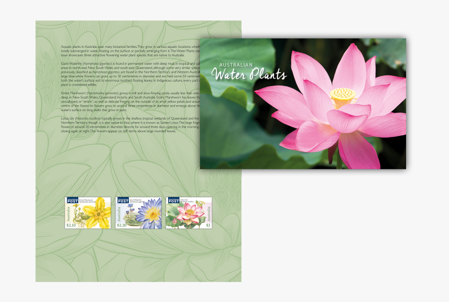 Lotus Family,sacred Plant,plant,botany,water Lily,flowering - Water Plants Australian Stamp 2017, Transparent Clipart