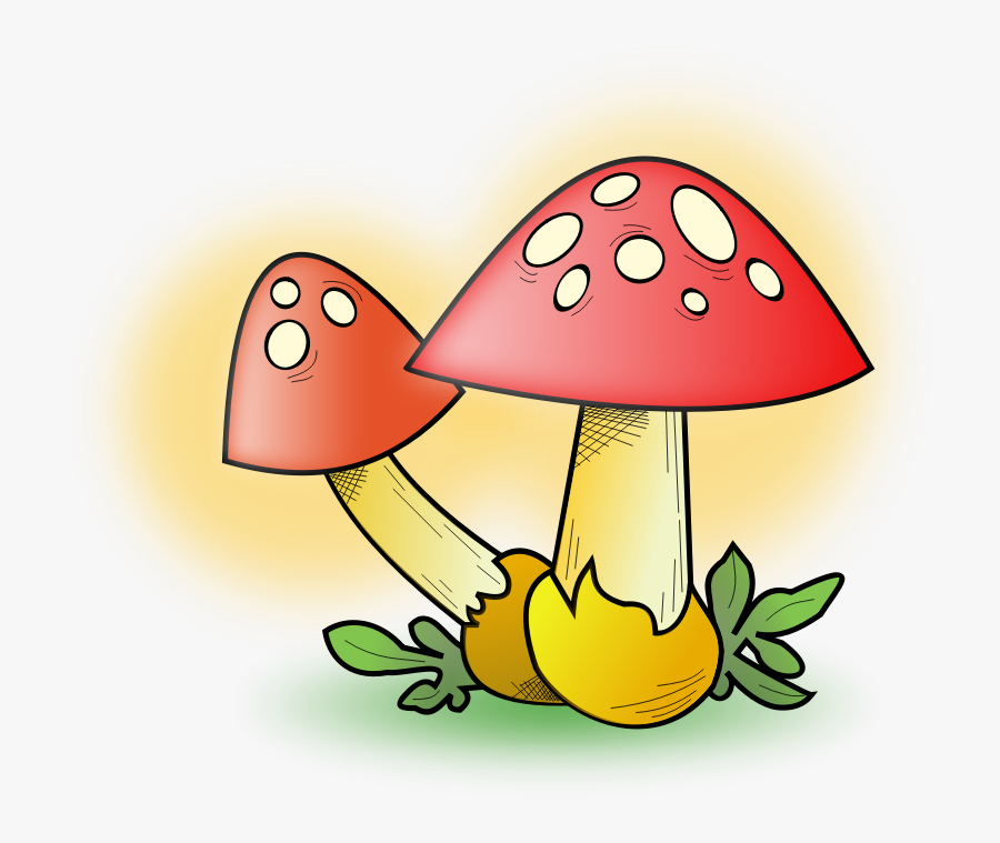 Gnome Clipart Musroom - Fungi Clipart, Transparent Clipart