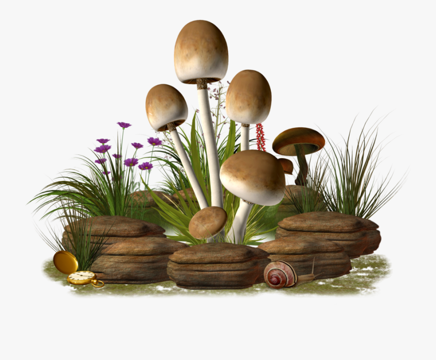 Mushroom .png, Transparent Clipart