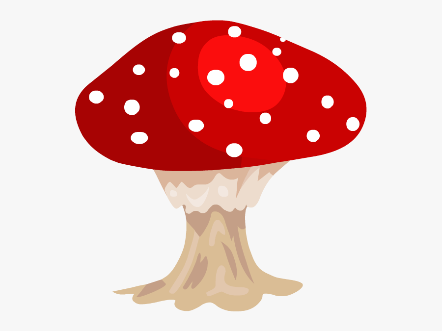 Transparent Fungi Clipart - Medicinal Mushroom, Transparent Clipart