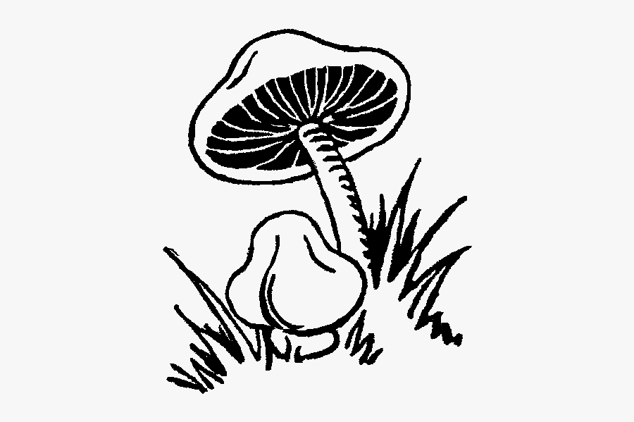 Free Mushroom Clipart In Black And White, Transparent Clipart
