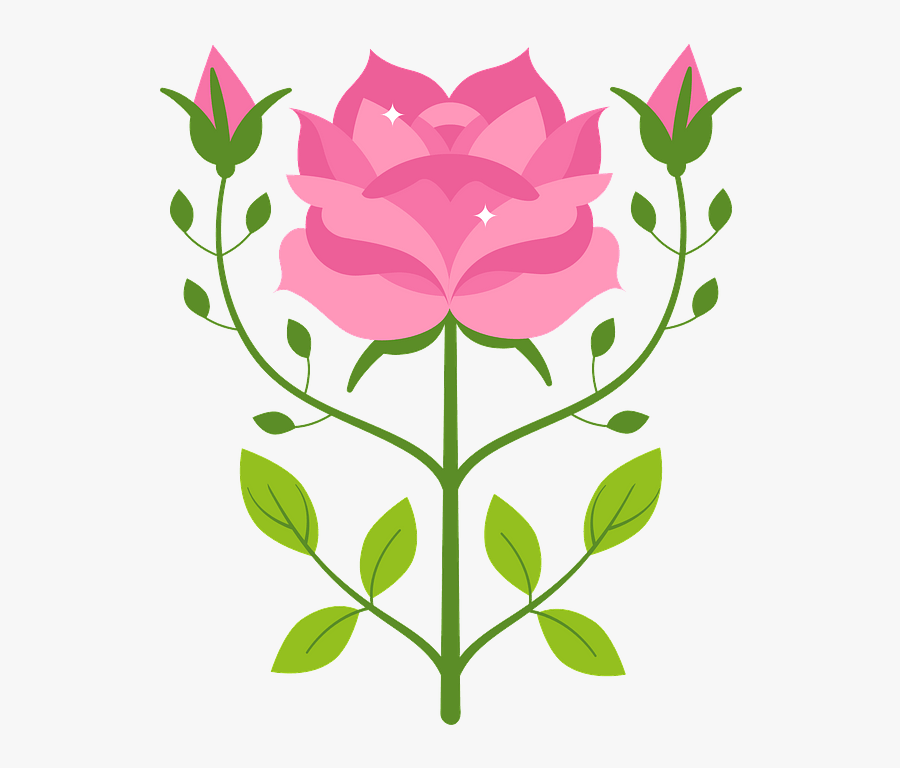 Rosa Glauca, Transparent Clipart