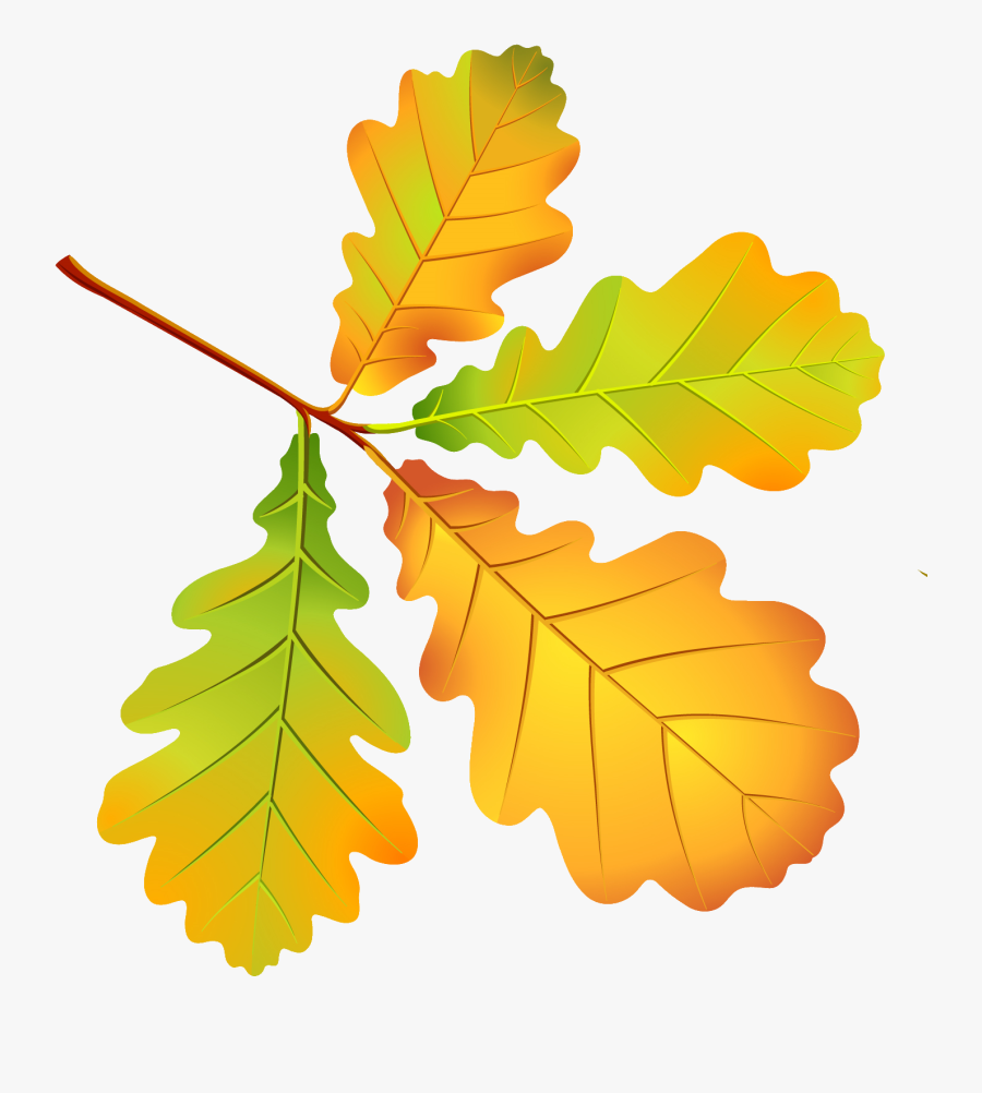 Png Download , Png Download - Autumn Leaf Oak Png, Transparent Clipart
